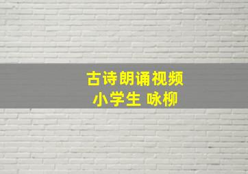 古诗朗诵视频 小学生 咏柳